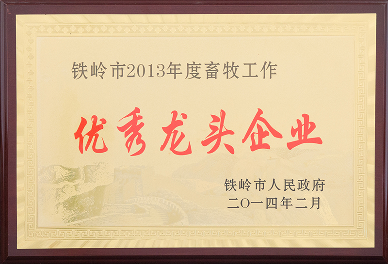 优秀龙头企业