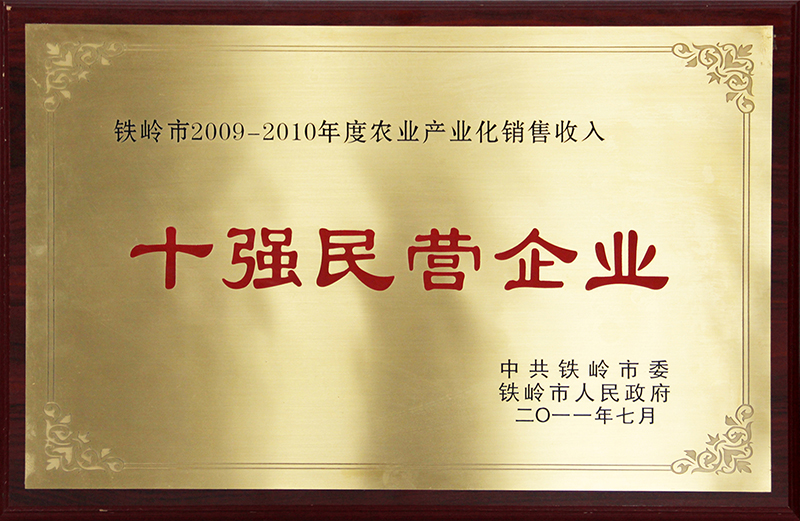 十强民营企业
